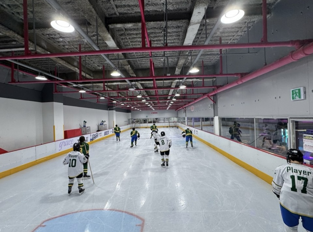 Winter sports-ice hockey for boys